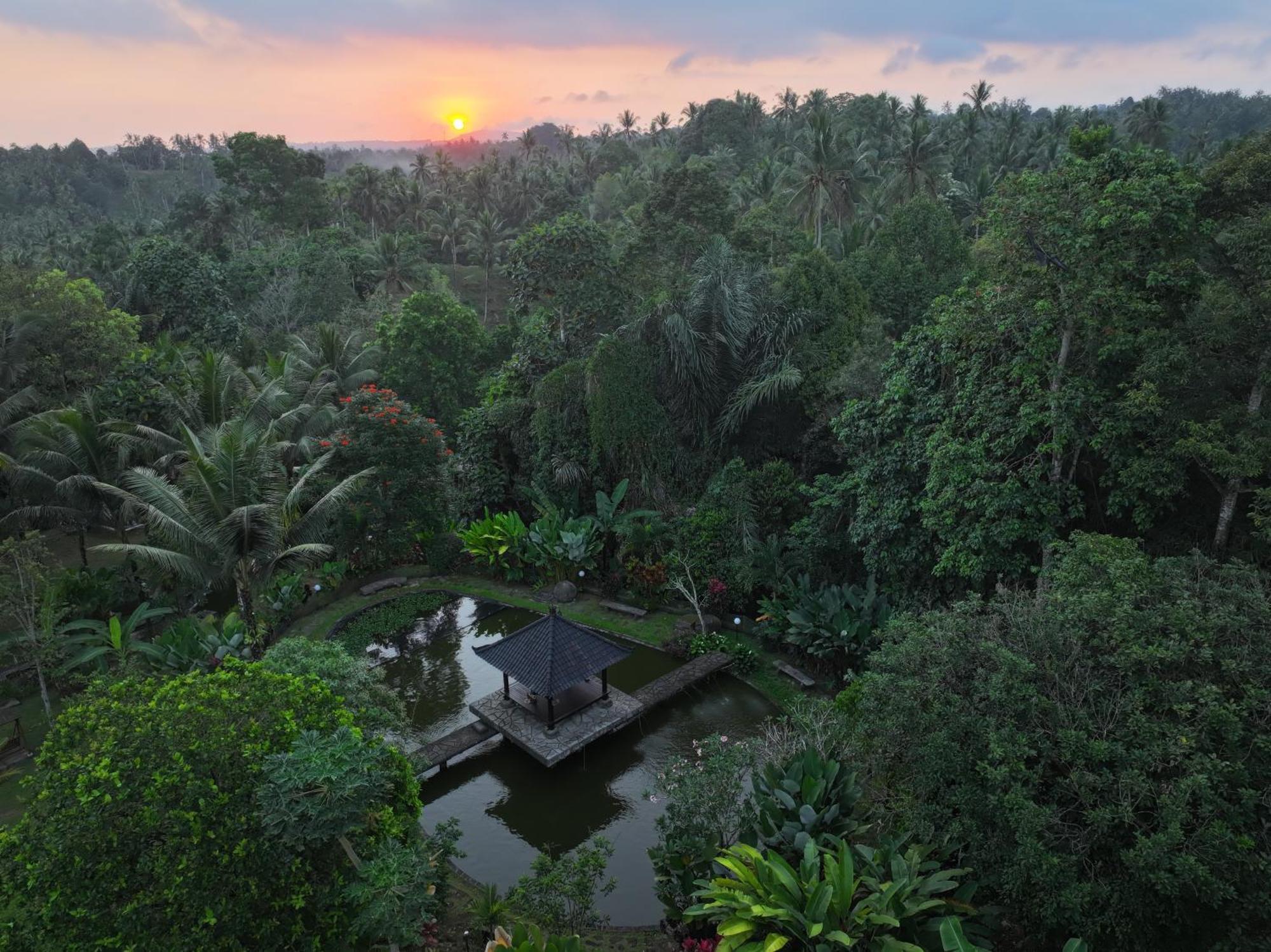 Bali Palms Selemadeg Exterior foto