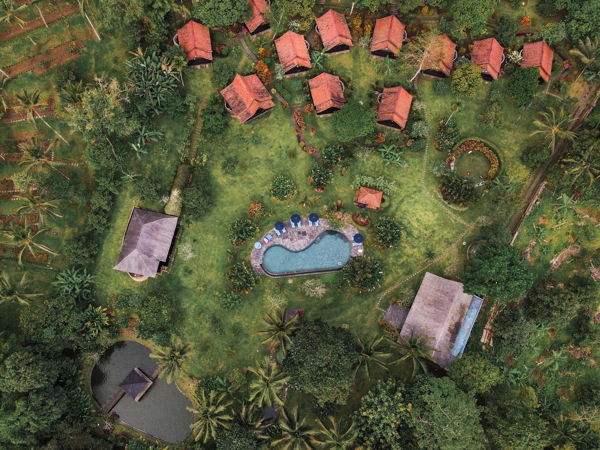 Bali Palms Selemadeg Exterior foto